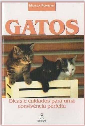 Gatos Dicas E Cuidados Para Uma Convivencia Perfeita