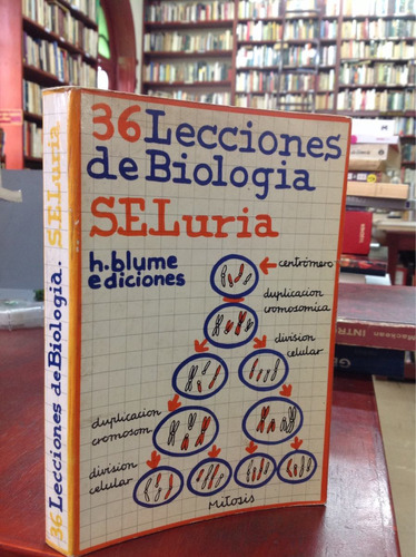 36 Lecciones De Biología. H. Blume.