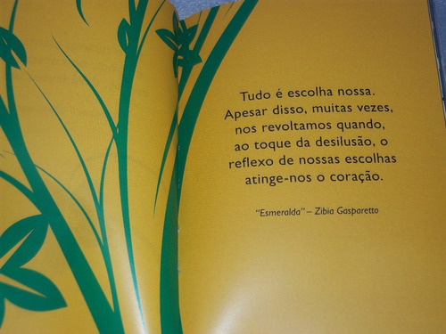 Livro Pensamentos Zibia Gasparetto & Autores Diversos 2010 | MercadoLivre