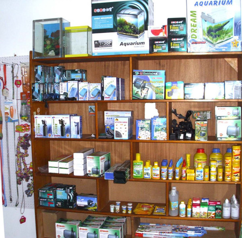 Imagen 5 de 5 de Oferta Musgo De Java Planta De Acuario Util Y Decorativa