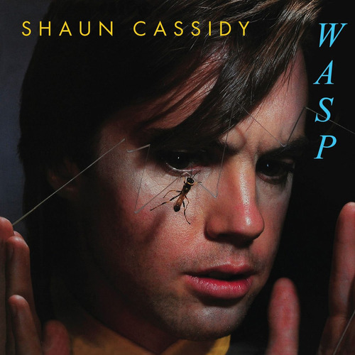 Shaun Cassidy Wasp Todd Rundgren Vinilo Importado Lp Pvl