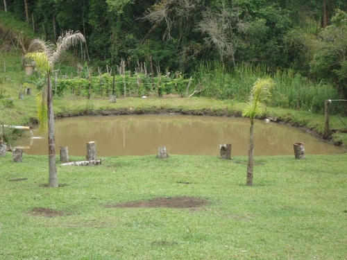 Imagem 3 de 15 de Sitio No Bairro Vargem Do Salto | 47733 - 47733