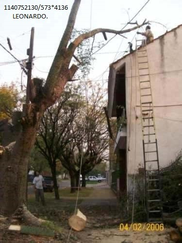 Poda Y Desmonte De Arboles De Riesgo,extracciones De Raíces.
