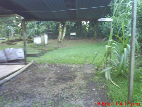 Imagen 4 de 7 de Vendo Casa Con Lote Grande En Guapiles Coopevigua 3