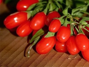 Sementes Da Maravilhosa Goji Berries Do Tibet