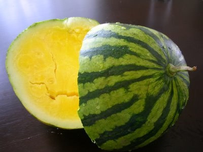 Imagem 4 de 6 de 15 Sementes De Melancia Amarela Yellow Crimson Heirloom Usa