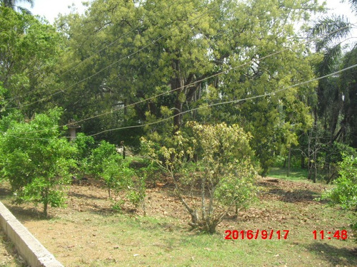 Imagem 7 de 15 de Chacara 30.000m2 Prox. A Cidade | 47146 - 47146