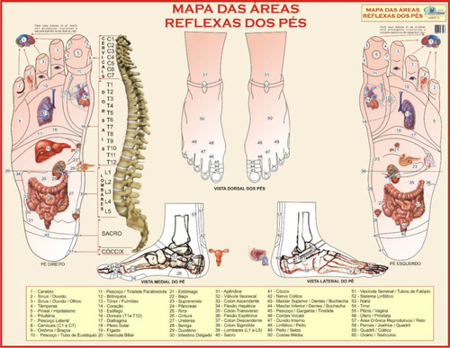 Mapa Da Reflexologia Dos Pés - Massoterapia E Fisioterapia