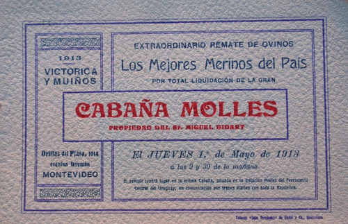 Estancia Cabaña Molles Durazno Folleto Remate Ovinos 1913