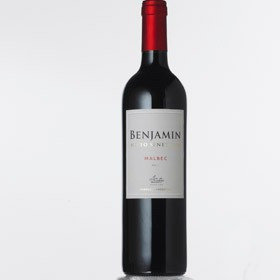 Vino Benjamín Nieto Senetiner Malbec. Factura A O B