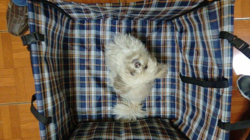 Imagen 1 de 2 de Cobertor / Protector Asiento De Auto Perro, Mascota