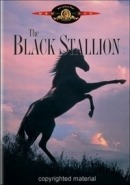 Dvd The Black Stallion [ O Corcel Negro ] [ Importado ]