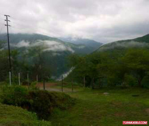 Imagen 2 de 5 de Terrenos En Venta