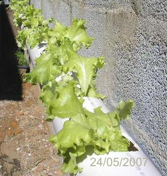 Sem Juros 800lt Nutrientes Completo Hidroponia Fertilizante