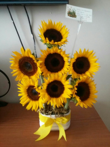 Imagen 1 de 2 de Girasoles En Mazeta O Ramo