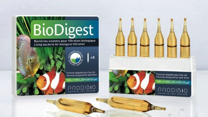 Prodibio Biodigest - Unidade (1 Ampola)