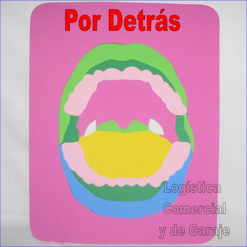 Set (2) Rompecabeza Boca Educativo Colegio Cuerpo Humano