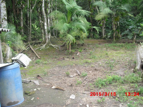 Imagem 13 de 15 de Chácara Na Estrada Dos Claudios Murundu | 38562 - 38562
