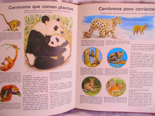 La Vida De Los Carnivoros Dr. Burton