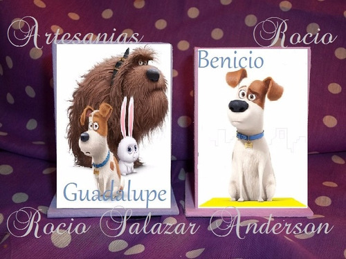 Portalapices Souvenirs Cajas La Vida Secreta De Las Mascotas