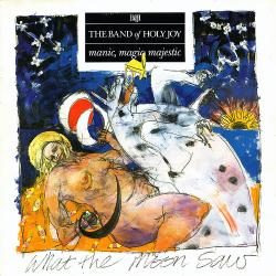 Lp The Band Of Holy Joy - Manic, Magic, Majestic