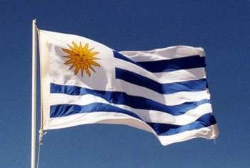 Bandera Uruguay 90x 60cm Para Alentar A La Celeste!