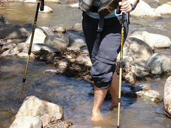Imagen 6 de 6 de Baston De Trekking Campamento Trekking Viajes Camping