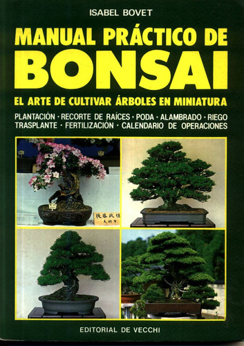 Practico De Bonsai
