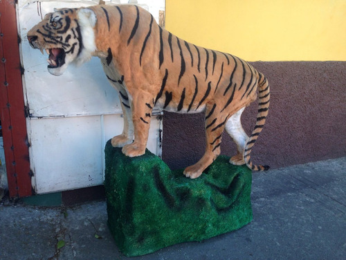 Animales Disecados 100% Artificiales. Leon Africano