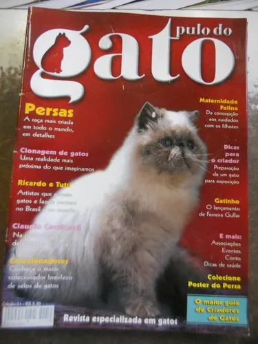 Pulo do Gato Variedades ✓, Loja Online