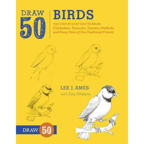 Sorteo 50 Aves: La Manera Paso A Paso Para Dibujar