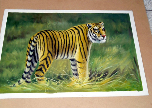 Tigre. Pintura Al Óleo En Medidas 60 X 90 Cm Envío Gratis