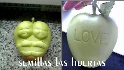 1 Molde Para Formar Frutas En Forma De Corazon Mediano