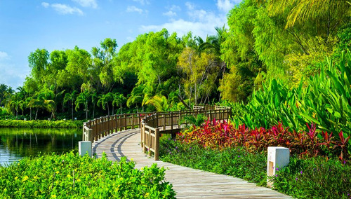 Imagen 5 de 10 de Vidanta - Mayan Palace / Grand Mayan / Bliss / Luxxe
