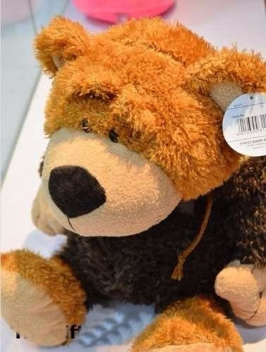 Peluche Oso 40cm Con Capucha Amor Cumple + Bolsa Regalo