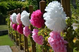 Pompones Papel Miralos!!