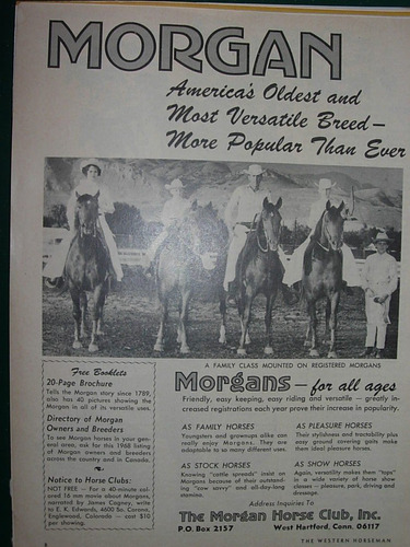 Cowboys Clipping Publicidad Morgan Horse Club Caballos Usa