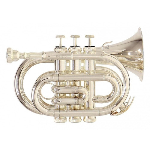 Trompeta Pocket Roy Benson Plateada Pt-101s 