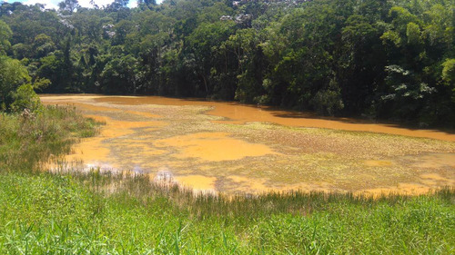 Terreno Em Santa Isabel