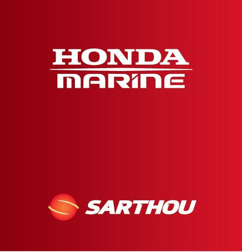 Imagen 12 de 12 de Motor Honda Bf 20 Hp Pata Larga Arranque Eléctrico 0km