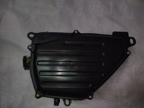 Caja Filtrera Zanella Rx 200 Original Lifan