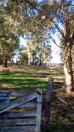 Imagen 3 de 4 de 1 Hectárea Con Casa De 3 Ambientes.
