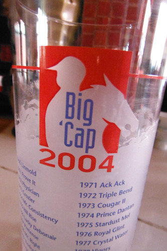 Vaso Big Cap 2004 Santa Anita California Horse Racing Sports