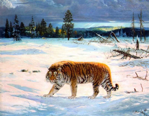 Tigre En La Nieve - Lamina 45 X 30 Cm.