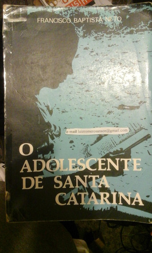 O Adolescente De Santa Catarina: Perfil Psicológico