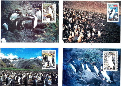 9 Postales Pre-franqueadas Antartica Chilena