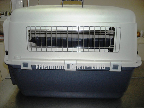 Kennel Transportador Mascotas L70 Mediano (cumple Iata)