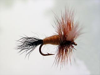 Fly Cast - Pesca Con Mosca