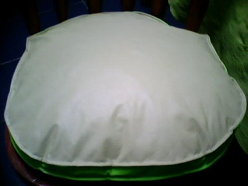 Decora Tu Hogar,cocina,living ,etc, Almohadones Eco Cuero***