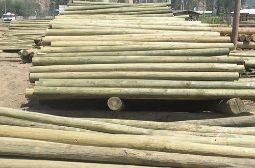 Imagen 7 de 7 de Poste 12/15 Cm X 4,00 Madera Tratada- Envíos A Toda La Costa